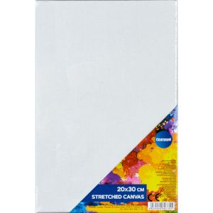 CENTRUM Audekls uz rāmja 20x30cm