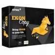 Paper for printers A4 500sh. 80g/m2 EKON COPY