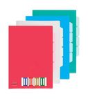 Clear folder L-type A4 0.16mm with 4 sections assorted