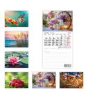 Calendar with magnetic base