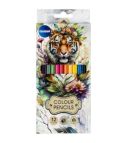 Color pencils 12col. TIGER hexagonal, long size /paper box