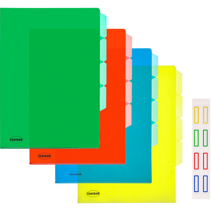 Clear folder L-type A4 0.16mm with 4 sections assorted