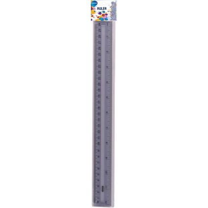 Ruler plastic 30cm clear