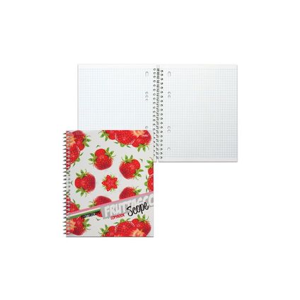 Notebook squared 100sh. spiral bound, lacguer cover 