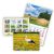 Wall throw-ower calendar 
