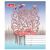 Exercise book 12sh. ruled 4cl.