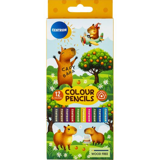 Color pencils plastic 12col. 