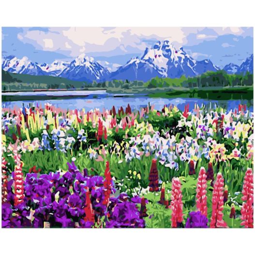 Acrylic paints & canvas pictures painting by number 